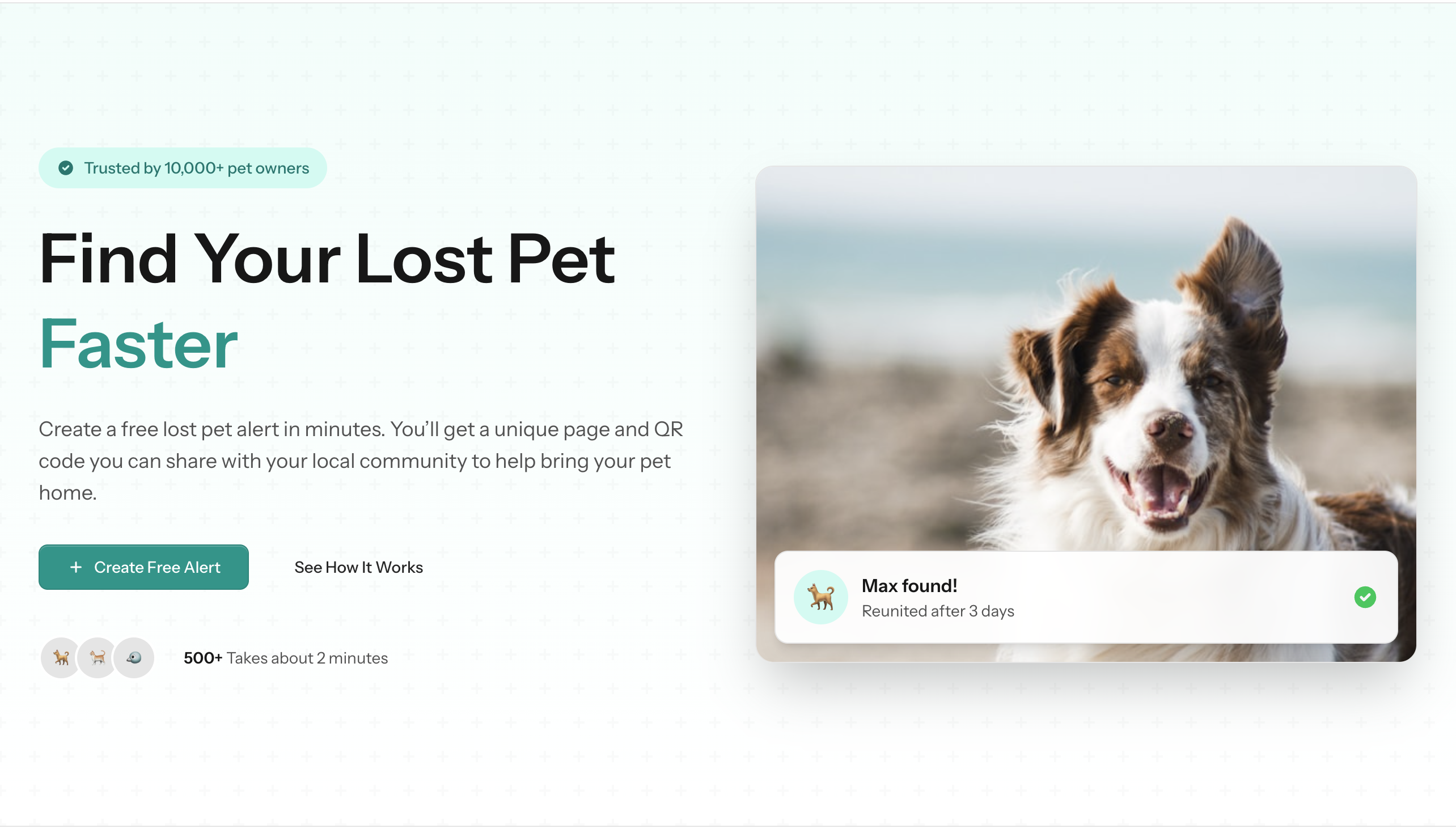 PetAlertLocal — lost pet alerts and local map